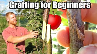 Download lagu Apple Tree Grafting For Beginners - Learn How To Graft | Includes 6 Months of Updates mp3 Download lagu Apple Tree Grafting For Beginners - Learn How To Graft | Includes 6 Months of Updates mp3