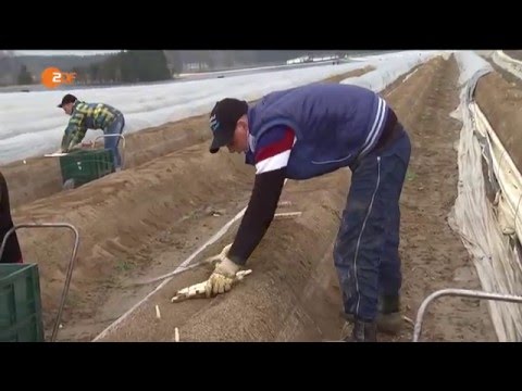 Terroristen könnten Atomkraftwerke attackieren und schmutzige Bomben bauen (31.03.2016)