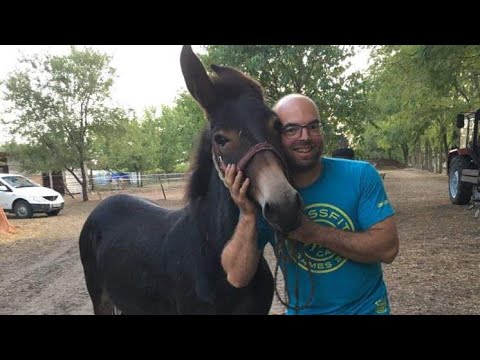 Fenntartható fejlődés a globalizáció legnagyobb hazugsága - "Átlagisztán" végnapjai