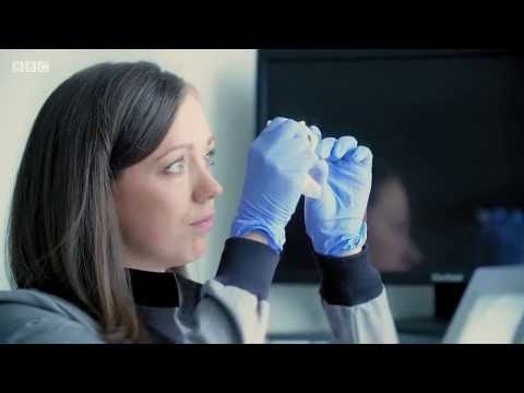 Fake or Fortune? Gauguin [BBC] 10 September 2017