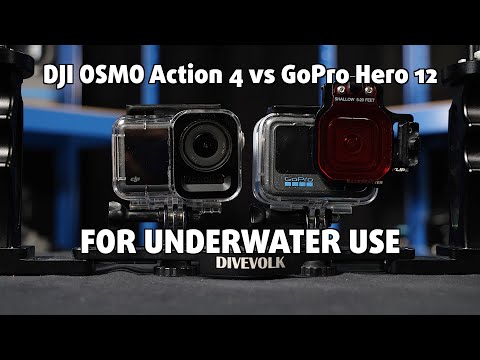 GoPro Hero 12 vs DJI OSMO Action 4 | Underwater comparison 😱