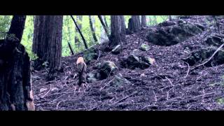 Trans Am - Insufficiently Breathless (Official Music Video)