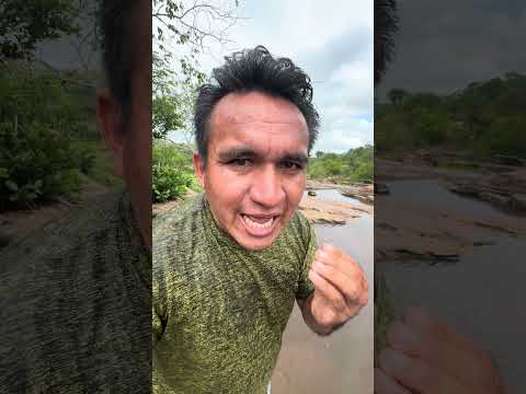 Chegada da água no rio cocal dos Alves
