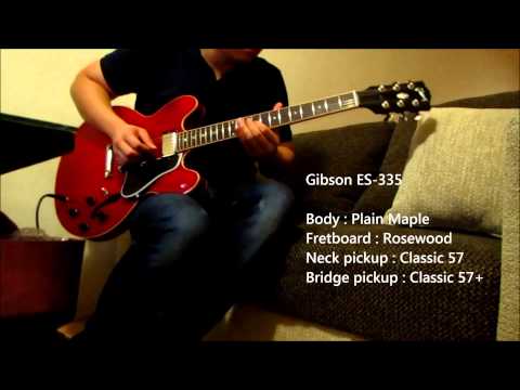 Ibanez JSM 100 and Gibson ES 335