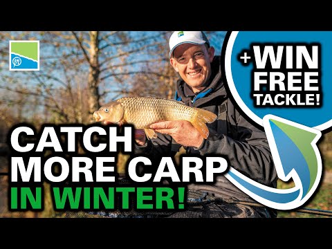 Catch More Carp In Winter! | Bomb & Bread and The Banjo Feeder! | WIN Free Tackle!!!!