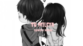 tu mileya (slowed x reverb) song