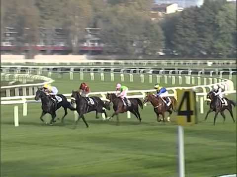 Premio St. Leger Italiano 2013 (GR 3)