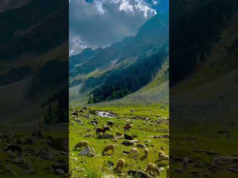 #beach #edits  ayan sarwar 👌🏻☺️