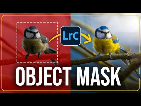 Create PERFECT MASKS with THIS SIMPLE TRICK in Lightroom!