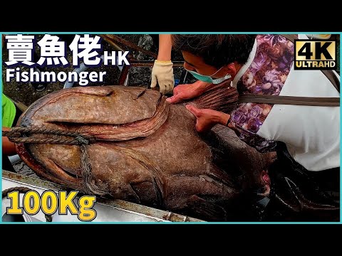 210 gatos Gyoshi Lana Gigante Flor Silvestre Cola Dragón Tit Parte 1/3｜[賣ゆ佬OH! Seafood HK]｜West Huan Fish King
