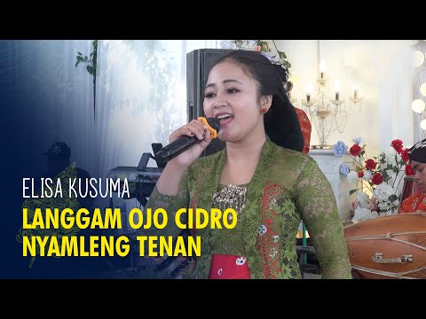 Langgam Ojo Cidro Nyamleng Tenan - Elisa Kusuma - Imaji Entertaiment