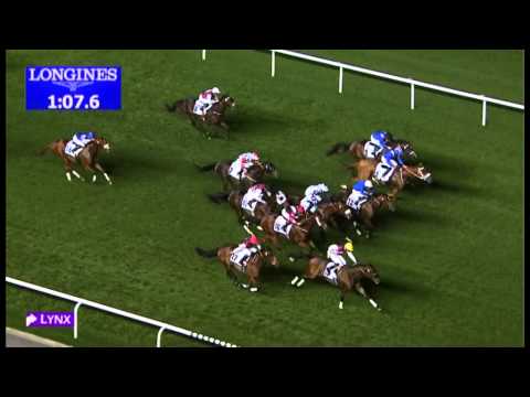 19.01.2013 Meydan (Dubai-UAE) 4.Race Al Naboodah Construction Group Trophy - 1.200 m