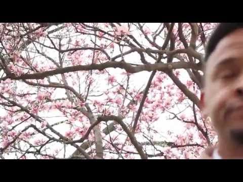 APPROACH - Chief feat. Miles Bonny (Official Video)