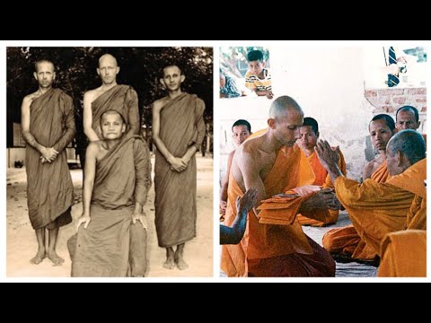 Stories Of Practice In The Forest | Jack Kornfield