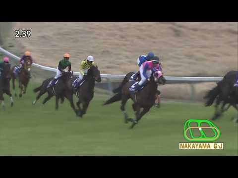 2017 Nakayama Grand Jump （J・GⅠ）