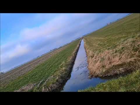 Charming music Celtic Heart PBS Special Kid ar an Sliabh  feat Harp Twins  Máiréad Nesbitt 20210301