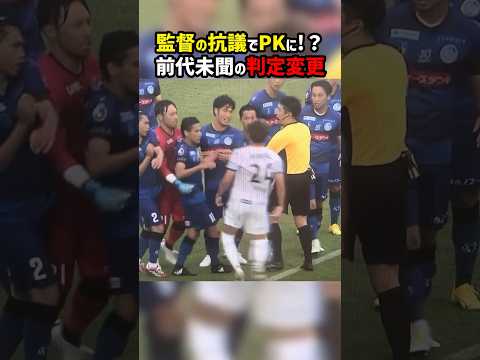 ホーリーホックについて詳しく解説