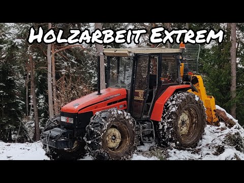 🌲Forstarbeit im extremen Gelände🌲 | Holzarbeit am Limit |