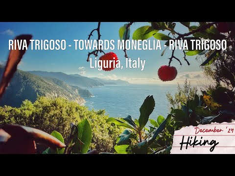 🇮🇹 Hike from Riva Trigoso towards Moneglia in Liguria 15.12.24 Из Рива Тригосо в сторону Монельи