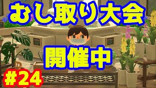 ひざくりげの「あつまれどうぶつの森」#24