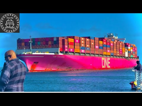 CONTAINER SHIP TRAFFIC AT THE PORT OF LOS ANGELES - 4K SHIPSPOTTING MARCH 2025