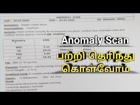 anomaly scan 20 weeks report in tamil, how to read, report details, ultrasound