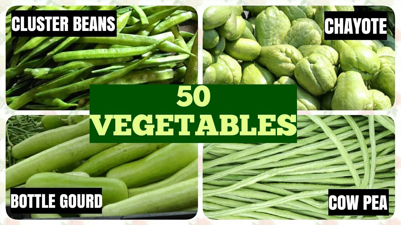50 Vegetable Names in English