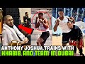 Anthony Joshua Visits Khabib Nurmagomedov And Trains With His Team In Dubai FULL VIDEO