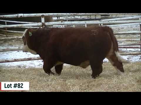 Lot #82 Anchor D Kaboom 222H