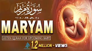 Download lagu Surah Maryam 💖 | The Miracle of Creation | Baby in Mother’s Womb | Heart Touching Recitation mp3