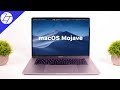 macOS 10.14 Mojave - REVIEW!