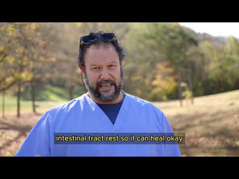 Simple Home Remedies for Dog Diarrhea by Marc Smith, DVM, MS