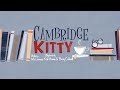 Right What S All This Then Ft Cambridge Kitty