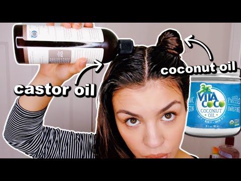 download lagu mp3 mp4 Which Is Better Castor Oil Or Coconut Oil, download lagu Which Is Better Castor Oil Or Coconut Oil gratis, unduh video klip Which Is Better Castor Oil Or Coconut Oil