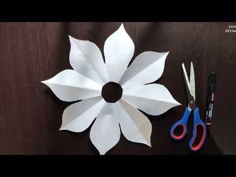 Wall flower- farma banaaiye Ghar baithe