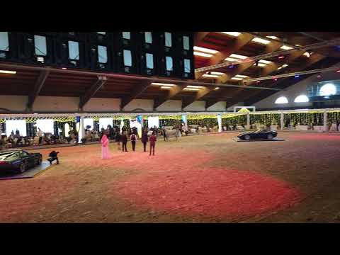 ASSA BARIZAH . SM BARIQ  BY  SAMEH AL RAYYAN  & SAHMA BY MARDUK  BY MARDUK GUASIMO