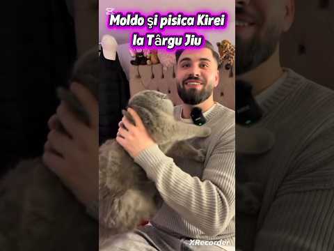 Moldo şi pisica Kirei la Târgu Jiu 🥰 Casa Iubirii