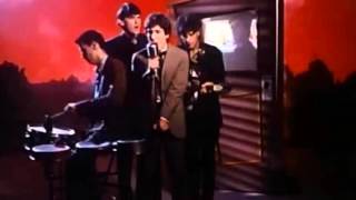 Wall of Voodoo - Mexican Radio