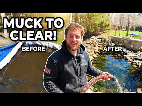 The FASTEST Backyard Pond Cleaning Method | 2 Minutes Start to Finish