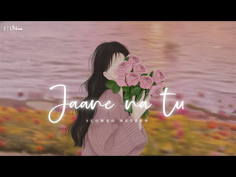 Jaane Na Tu (slowed to perfection)