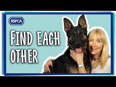 Rehome a pet |  RSPCA - RSPCA - rspca.org.uk