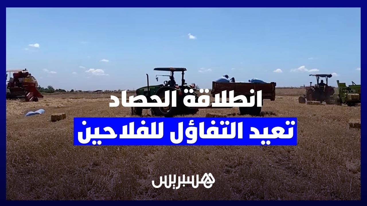 سنابل الخير تعيد الأمل.. انطلاق عملية الحصاد بقلب "دكالة" يبشر بمحصول وافر رغم تقلبات المناخ thumbnail