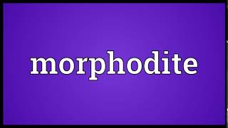 Morphodite Meaning | Wordogram