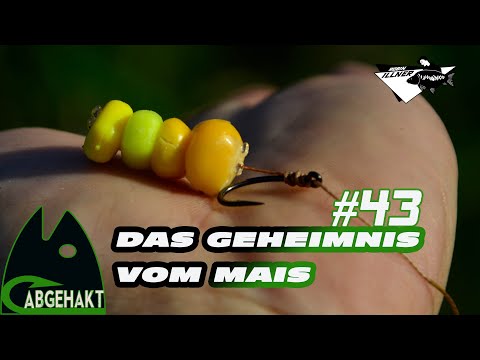 TICKED OFF #43: THE SECRET OF CORN!