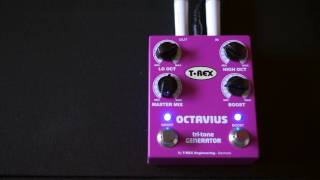 Video thumbnail for Trex Octavius by thePedalHeadz