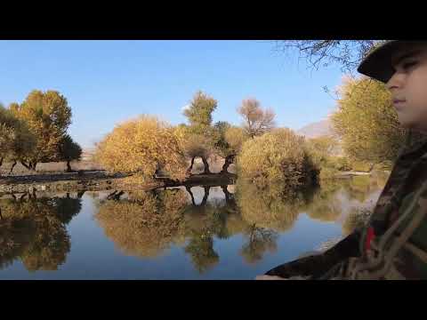 Danyal -Bradost Area