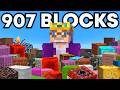 Can I Collect EVERY Minecraft Block in 24 Hours?