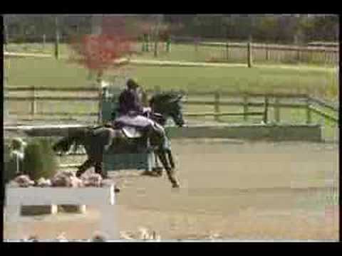 Cotopaxi Aquarius Grand Prix 1.30m - 1.40m