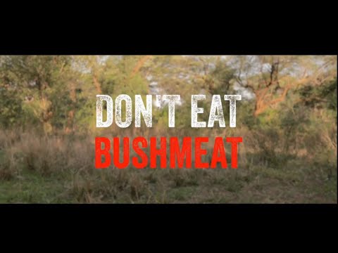 Don't Eat Bushmeat