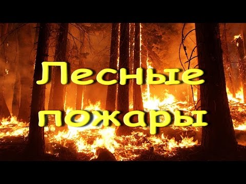 Лесные пожары - Геннадий Трофимов  (Дунаевский, Кулешов)